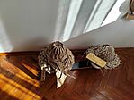IMG_20251106_113239