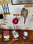 IMG_20251106_113635