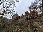 IMG_20251108_134011