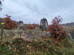 IMG_20251108_134534