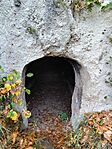 IMG_20251108_134942