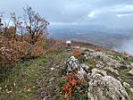 IMG_20251108_102646