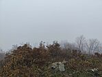 IMG_20251114_123218