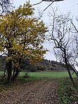 IMG_20251116_121802