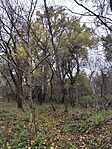 IMG_20251116_121826