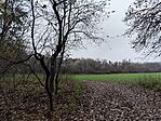 IMG_20251116_121808