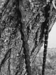 IMG_20251023_135557253
