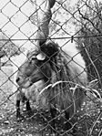 IMG_20251023_135656828