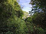 IMG_20251025_135448