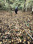 IMG_20251025_135915