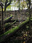 IMG_20251025_140017
