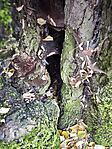 IMG_20251025_083550