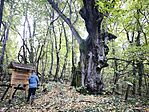 IMG_20251025_083107