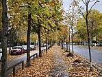 IMG_20251103_120724