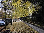 IMG_20251103_120833