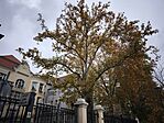 IMG_20251103_120909