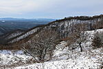 Panoráma