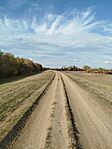IMG_20251102_131245