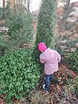 IMG_20251106_161023