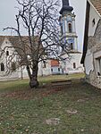 IMG_20251129_114926