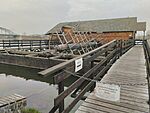 IMG_20251129_120314