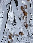 IMG_7370