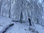 IMG_7374