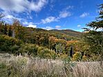 IMG_0587
