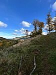 IMG_0586
