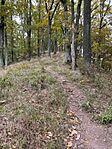 IMG_0646