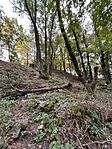 IMG_0643