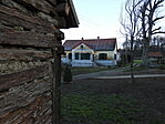 DSCN8719