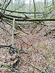 IMG_20251206_103859