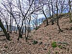 IMG_20251206_130900