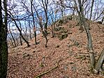 IMG_20251206_130916