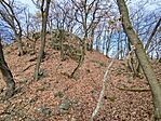 IMG_20251206_130929