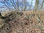 IMG_20251206_131559
