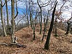 IMG_20251206_131803