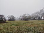IMG_20251212_084349