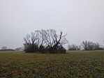 IMG_20251212_084758