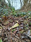IMG_20251217_114256