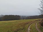 IMG_20251217_114326