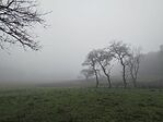 IMG_20251218_083213