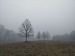 IMG_20251218_082425