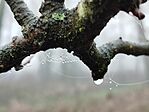 IMG_20251218_081938