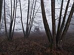IMG_20251218_081738