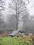 IMG_20251218_081630