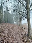 IMG_20251218_080905