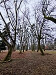 IMG_20251222_121315