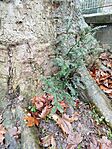 IMG_20251222_120836
